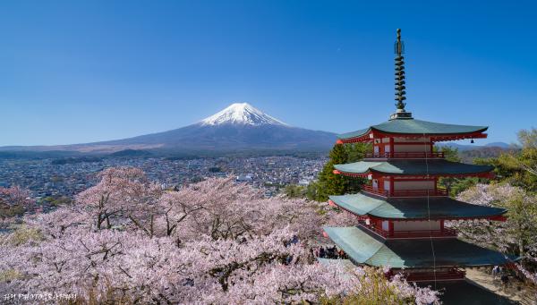 jp_00036